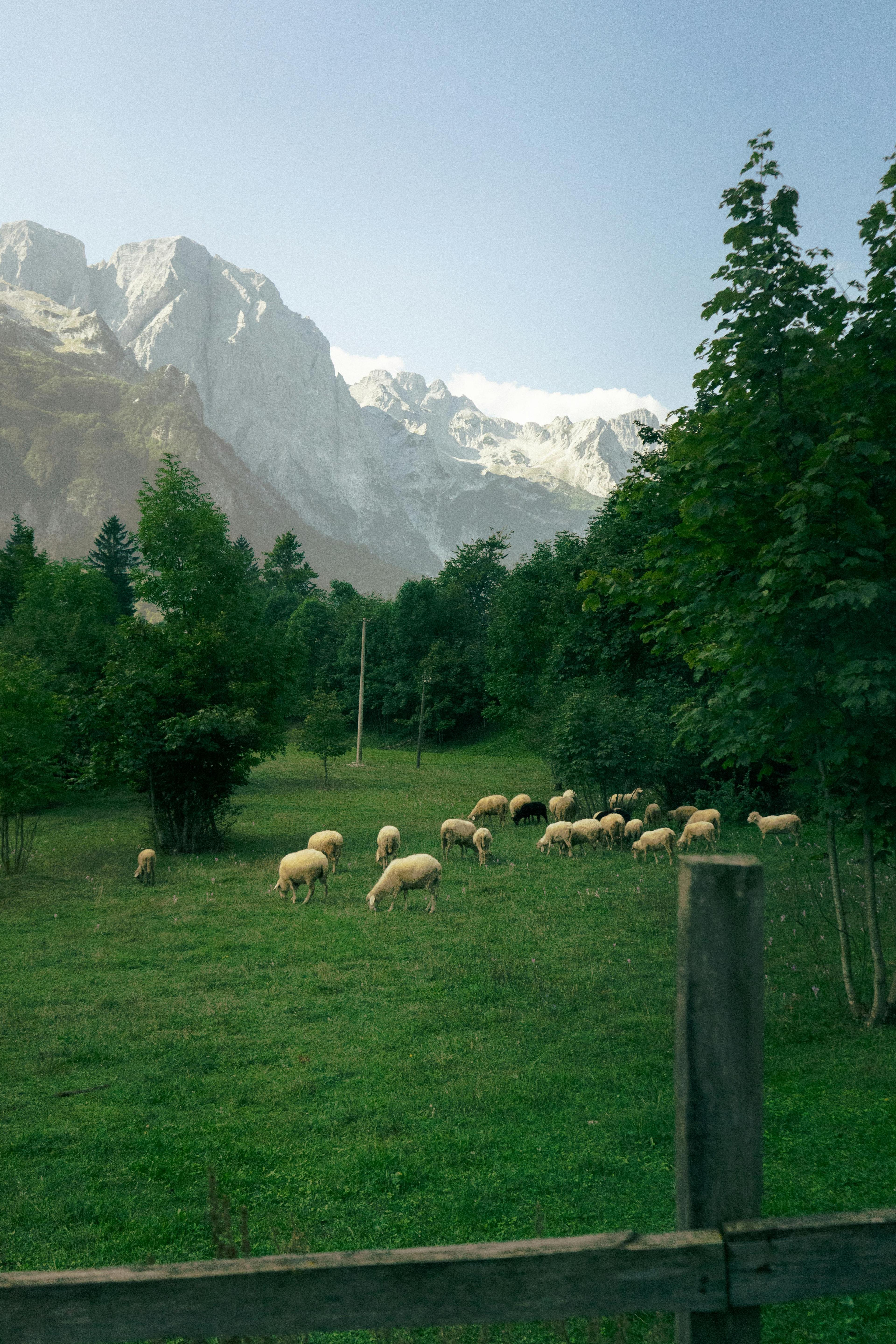 Picture of Shkoder